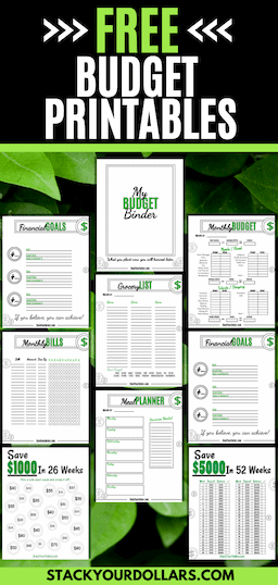Free budget pintables for finances